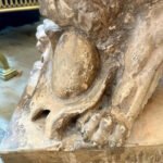 A Set Of Antique 19th C Terracotta Lion Sculptures - Image 8